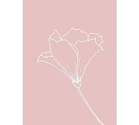 Wee Blue Coo Blush Pink Plant Flower White Art Print Canvas Premium Wall Decor Poster Mural