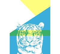 Wee Blue Coo Bold Animals Blue Tiger Large Wall Art Print Canvas Premium Poster