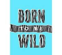 Wee Blue Coo Born To Be Wild Zebra Large Art Print Poster Wall Decor 18x24 inch