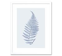 Wee Blue Coo Botanics Cobalt Fern Alpestre Art Print White Framed Poster Wall Decor 9x7 inch