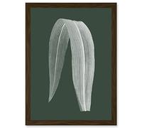 Wee Blue Coo Botanics Hunter Folded Leaf Plant Nature Artwork Framed Wall Art Print A4