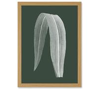 Wee Blue Coo Botanics Hunter Folded Leaf Plant Nature Artwork Framed Wall Art Print A4