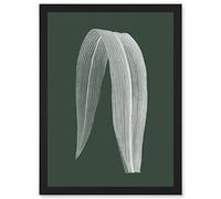 Wee Blue Coo Botanics Hunter Folded Leaf Plant Nature Artwork Framed Wall Art Print A4
