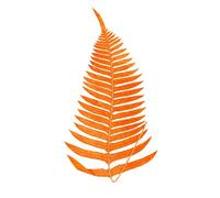 Wee Blue Coo Botanics Red Orange Fern Large Wall Art Print Canvas Premium Poster