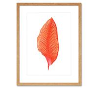 Wee Blue Coo Botanics Red Orange Fine Stripes Art Print Light Oak Framed Poster Wall Decor 12x16 inch