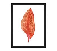 Wee Blue Coo Botanics Red Orange Fine Stripes Large Black Framed Art Print Wall Poster 18x24 inch