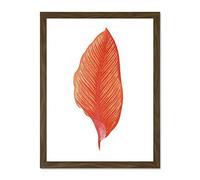 Wee Blue Coo Botanics Red Orange Fine Stripes Large Brown Framed Art Print Wall Poster 18x24 inch