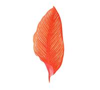 Wee Blue Coo Botanics Red Orange Fine Stripes Large Wall Art Print Canvas Premium Poster