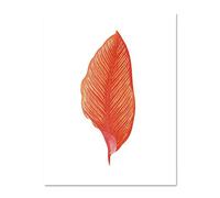 Wee Blue Coo Botanics Red Orange Fine Stripes Large White Framed Art Print Wall Poster 18x24 inch