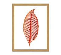 Wee Blue Coo Botanics Red Orange Stripes Large Light Oak Framed Art Print Wall Poster 18x24 inch