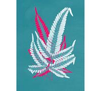Wee Blue Coo Bright Coloured Fern Teal Pink Unframed Art Print Poster Wall Decor 12x16 inch