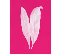 Wee Blue Coo Bright Coloured Leaf Pink Art Print Poster Wall Decor