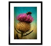 Wee Blue Coo Bumble Bee And Thistle Artwork Framed Wall Art Print 12X16 Inch