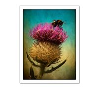 Wee Blue Coo Bumble Bee and Thistle Artwork Framed Wall Art Print 18X24 Inch