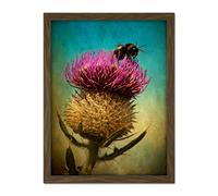 Wee Blue Coo Bumble Bee and Thistle Artwork Framed Wall Art Print 18X24 Inch