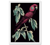 Wee Blue Coo Burgundy Parakeet Retro Modern Vintage Tropical Jungle Artwork Framed A3 Wall Art Print
