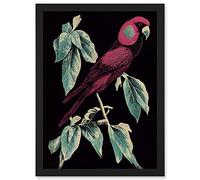 Wee Blue Coo Burgundy Parakeet Retro Modern Vintage Tropical Jungle Artwork Framed A3 Wall Art Print