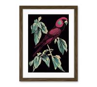 Wee Blue Coo Burgundy Parakeet Retro Modern Vintage Tropical Jungle Artwork Framed Wall Art Print 18X24 Inch