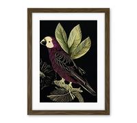 Wee Blue Coo Burgundy Parrot Leaves Tree Branch On Black Vintage Linocut Illustration Artwork Framed Wall Art Print 18X24 Inch