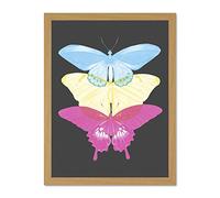 Wee Blue Coo Butterflies CMYK Large Light Oak Framed Art Print Wall Poster 18x24 inch