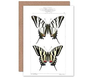 Wee Blue Coo Butterflies Tiger Greeting Card With Envelope Inside Premium Quality