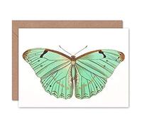 Wee Blue Coo Butterfly Turquoise Greeting Card With Envelope Inside Premium Quality