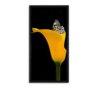 Wee Blue Coo Butterfly Yellow Flower Nature Long Panel Framed Wall Art Print