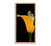 Wee Blue Coo Butterfly Yellow Flower Nature Long Panel Framed Wall Art Print