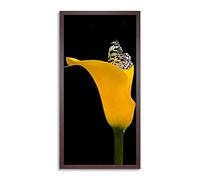 Wee Blue Coo Butterfly Yellow Flower Nature Long Panel Framed Wall Art Print