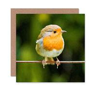 Wee Blue Coo Card Christmas Xmas Merry Red Breast Robin