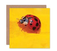 Wee Blue Coo CARD GREETING BIRTHDAY LITTLE LADYBIRD BUG GIFT