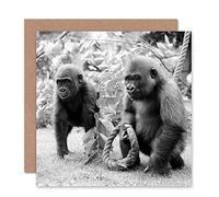 Wee Blue Coo CARD GREETING PHOTO VINTAGE TWO CUTE YOUNG GORILLAS PRESENT GIFT