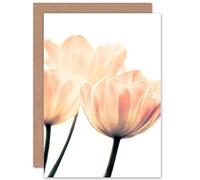 Wee Blue Coo CARD GREETING PRETTY PINK FLOWER PETALS GIFT