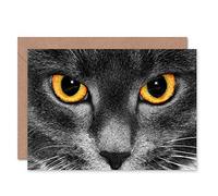 Wee Blue Coo CAT EYES PHOTOGRAPH CLOSE UP BLANK GREETINGS BIRTHDAY CARD ART
