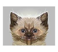 Wee Blue Coo Cat Illustration Persian Kitten Art Print Poster Wall Decor 12X16 Inch