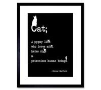 Wee Blue Coo Cat Pygmy Lion White On Black Quote Motivation Typography Framed Wall Art Print