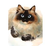 Wee Blue Coo Cat Ragdoll Face Watercolour Unframed Art Print Poster Wall Decor 12x16 inch