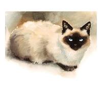 Wee Blue Coo Cat Ragdoll Watercolour Art Print Poster Wall Decor