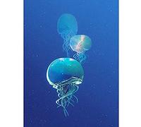Wee Blue Coo Celestial Galaxy Stars Jellyfish Photograph Combined Blue Canvas Print