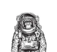 Wee Blue Coo Chimpanzee Astronaut Space Animal Art Print Poster Wall Decor 12X16 Inch