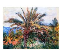 Wee Blue Coo Claude Monet Palm Tree At Bordighera Old Master Painting Art Print Poster Wall Decor 12X16 Inch