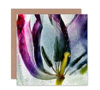 Wee Blue Coo CLOSE UP FLOWER TULIP COLOURFUL SPRING MACRO BLANK GREETINGS BIRTHDAY CARD