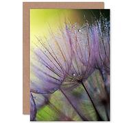 Wee Blue Coo CLOSE UP MACRO SEEDS FLOWER PHOTOGRAPHY DEW PURPLE BLANK BIRTHDAY CARD