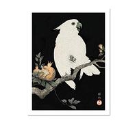 Wee Blue Coo Cockatoo Pomegranate Ohara Koson Large Framed Art Print Wall Poster 18x24 inch