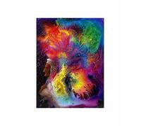 Wee Blue Coo Colorful Indian Headdress Shaman Photo Art Picture Canvas Print