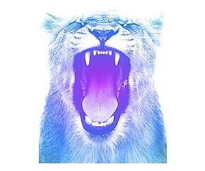 Wee Blue Coo Colourful Roar Lion Art Print Canvas Premium Wall Decor Poster