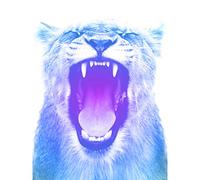 Wee Blue Coo Colourful Roar Lion Large Wall Art Print Canvas Premium Poster