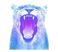Wee Blue Coo Colourful Roar Lion Unframed Art Print Poster Wall Decor 12x16 inch