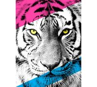Wee Blue Coo Contemporary Bold CMYK Tiger Large Wall Art Print Canvas Premium Poster