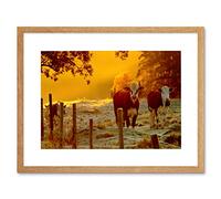 Wee Blue Coo COWS SUNRISE MISTY DEW BLACK FRAME FRAMED ART PRINT PICTURE MOUNT B12X9506